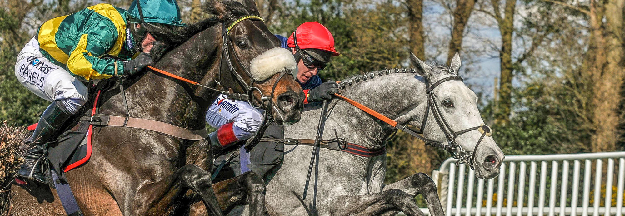 Five well-handicapped National Hunt horses you need on your side…