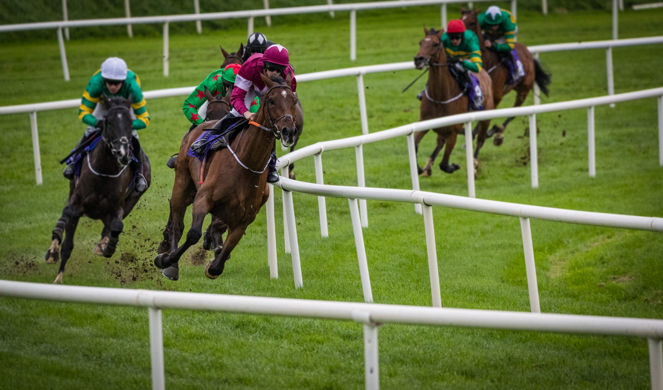 Three to follow from the weekend 18th, 19th & 20th February...