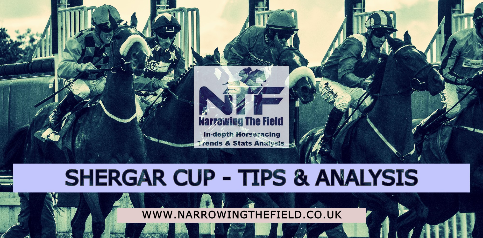 2023 Shergar Cup Tips & Analysis