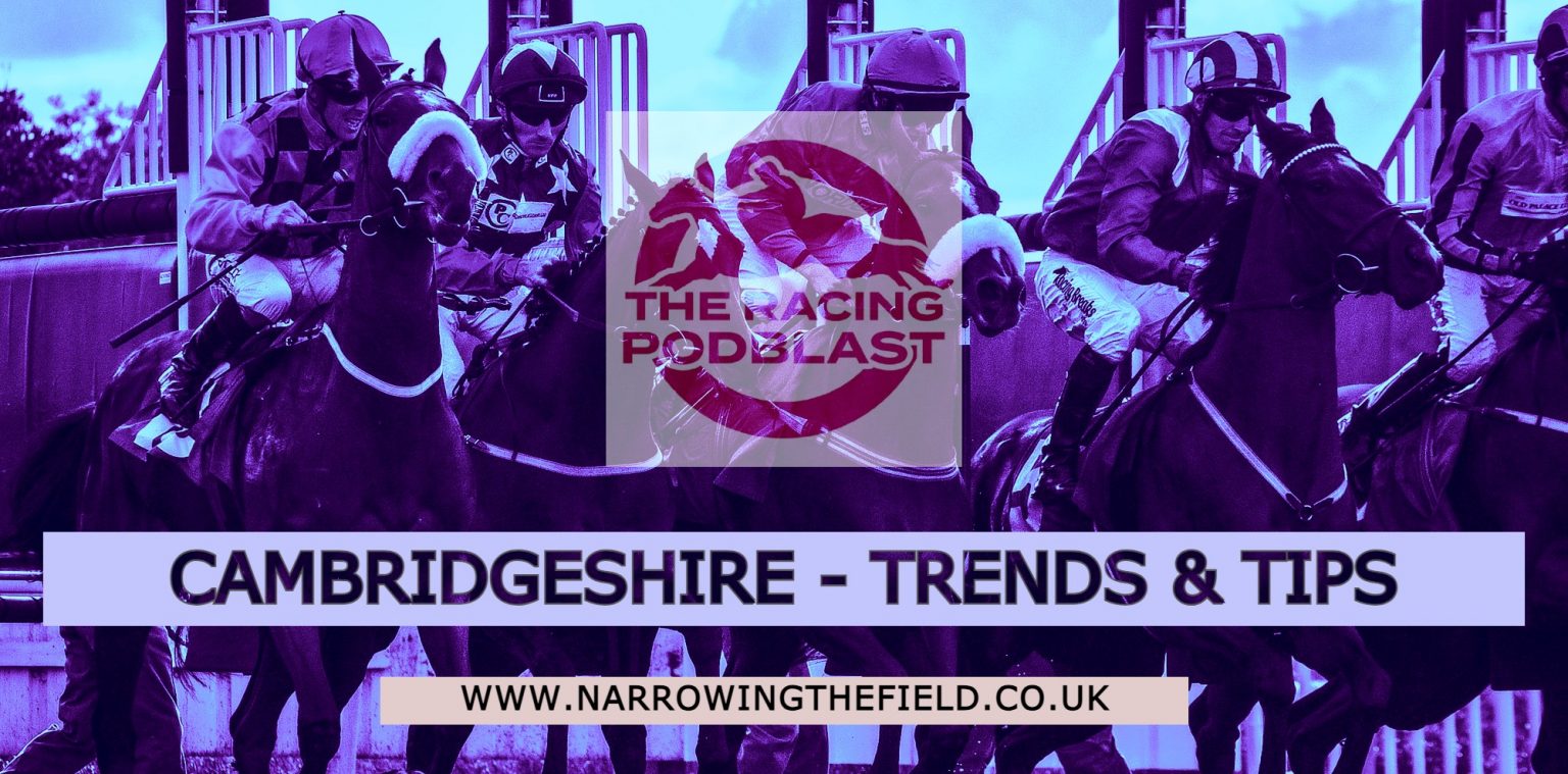 2023 Cambridgeshire Day Trends, Tips & Analysis Narrowing The Field